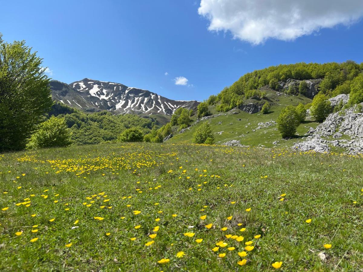 Guesthouse Alpini Lepushe Exterior foto